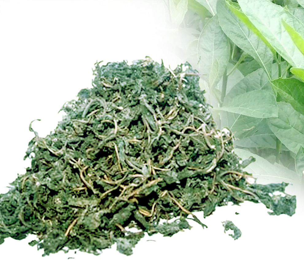 Dried Unwashed Bitter Leaves