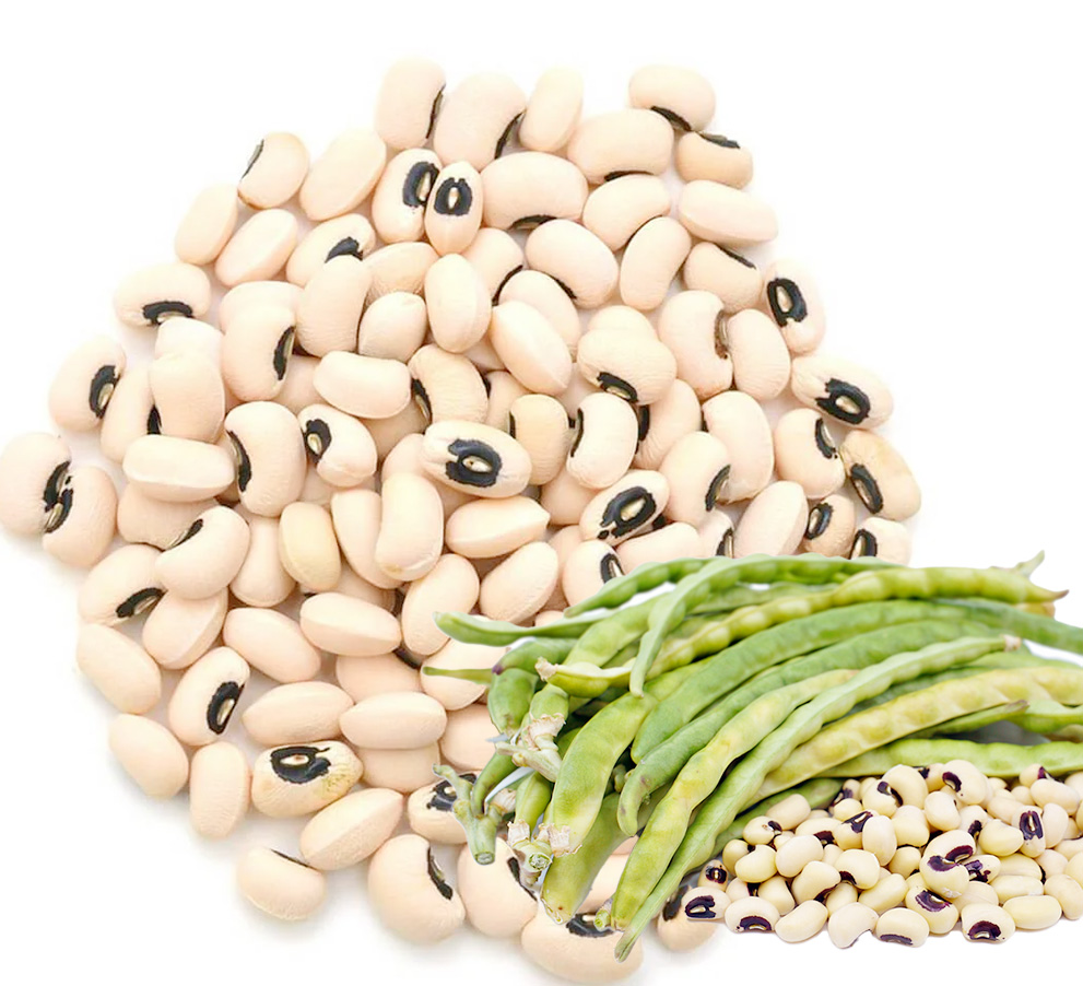 Black-Eyed Beans (Unpeeled)