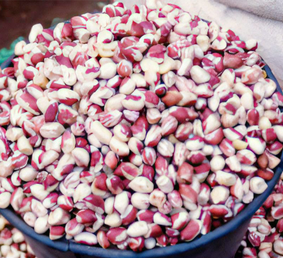 Raw Unpeeled Groundnut-Ndole