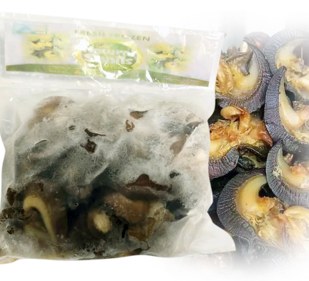 Medium Snails